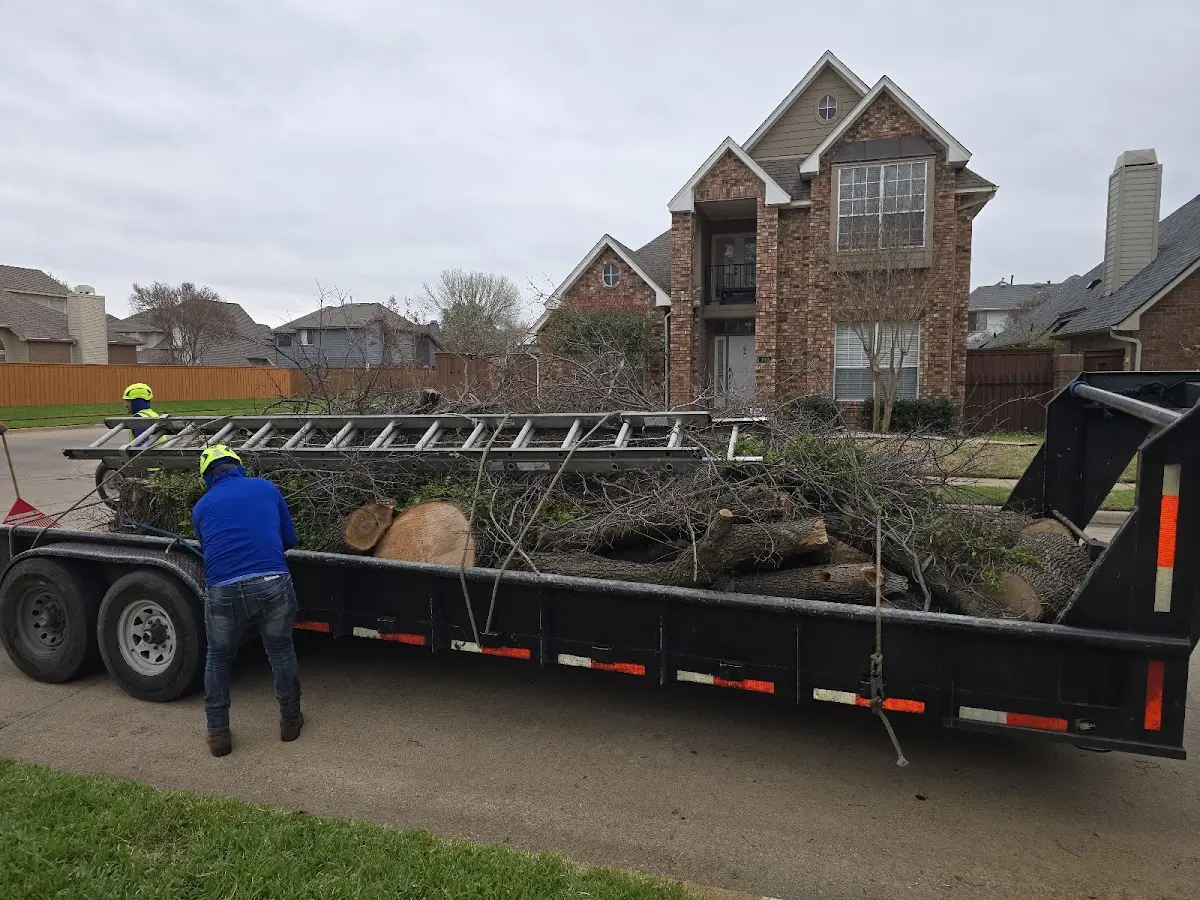 Expert Tree Pest Control with proper safety equipment in Ingalls